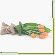 Tulipas fashion