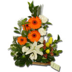 Gerberas e lirio