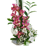Orqu&iacute;deas em pedra