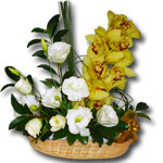 Cesto com liziantus, orquideas e chocolates.