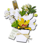 Clean de Orquideas com chocolates